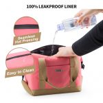 Insulated Lunch Bag